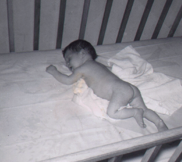 Darlene nude