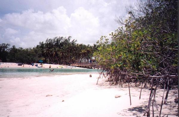 Another shot of the lagoon at Salt Cay